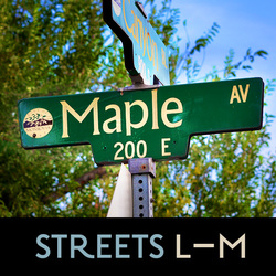 Potential Landmarked Homes, Streets L–M, Picture of Maple Ave Streetsign